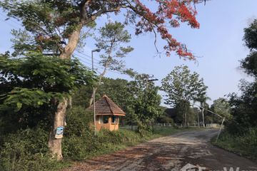 Land for sale in Thung Samo, Phetchabun