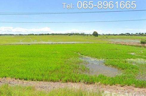 Land for sale in Don Thong, Phra Nakhon Si Ayutthaya