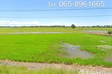 Land for sale in Don Thong, Phra Nakhon Si Ayutthaya