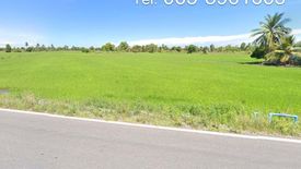 Land for sale in Don Thong, Phra Nakhon Si Ayutthaya