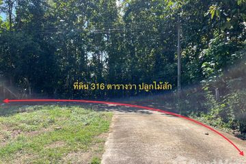 Land for sale in Kong Khwai, Nan