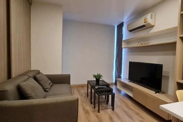 1 Bedroom Condo for rent in The ACE Ekamai, Khlong Tan Nuea, Bangkok near BTS Ekkamai