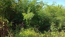 Land for sale in Khlong Sam Prawet, Bangkok