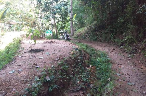 Land for sale in Choeng Thale, Phuket