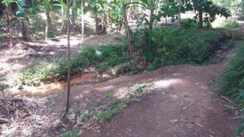 Land for sale in Choeng Thale, Phuket