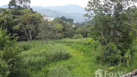 Land for sale in Pong Yaeng, Chiang Mai