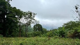 Land for sale in Pong Yaeng, Chiang Mai