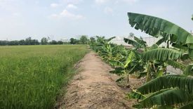 Land for sale in Bang Krasan, Phra Nakhon Si Ayutthaya