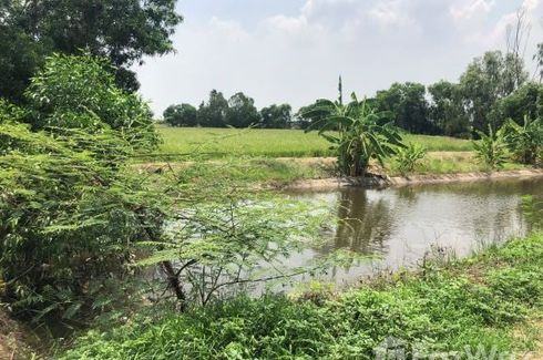 Land for sale in Bang Krasan, Phra Nakhon Si Ayutthaya