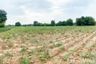 Land for sale in Nong Hiang, Chonburi