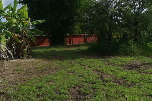 Land for sale in Mi Chai, Nong Khai