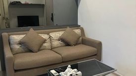 1 Bedroom Condo for sale in The Tree Charansanitwong 30, Bang Khun Si, Bangkok near MRT Fai Chai