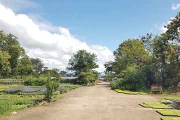 Land for sale in Pa Phai, Chiang Mai