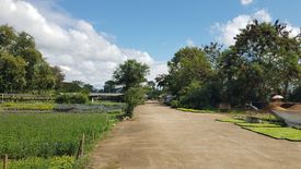 Land for sale in Pa Phai, Chiang Mai