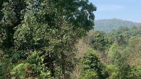 Land for sale in Huai Sai, Chiang Mai