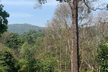 Land for sale in Huai Sai, Chiang Mai