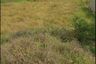 Land for sale in Lat Lum Kaeo, Pathum Thani
