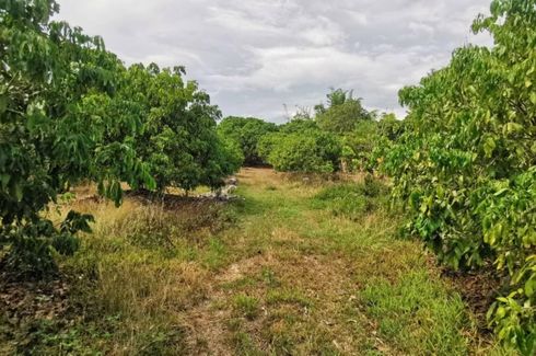 Land for sale in Thung Tom, Chiang Mai