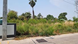 Land for sale in Nong Mai Daeng, Chonburi