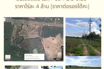 Land for sale in Kong Din, Rayong