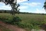Land for sale in Kong Din, Rayong