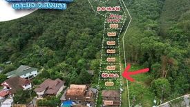 Land for sale in Ko Yo, Songkhla