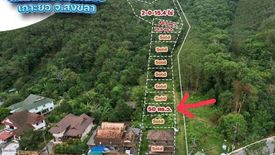 Land for sale in Ko Yo, Songkhla