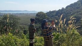 Land for sale in Chalong, Phuket