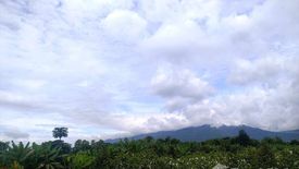 Land for sale in Mueang Kaeo, Chiang Mai