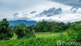 Land for sale in Mueang Kaeo, Chiang Mai