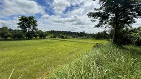 Land for sale in Phu Po, Kalasin