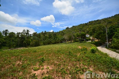 Land for sale in Mae Nam, Surat Thani