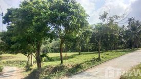 Land for sale in Mae Nam, Surat Thani