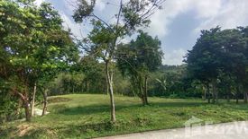 Land for sale in Mae Nam, Surat Thani