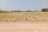Land for sale in Bo Kru, Suphan Buri