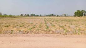 Land for sale in Bo Kru, Suphan Buri