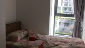 2 Bedroom Condo for sale in Ideo Mobi Sukhumvit 81, Bang Chak, Bangkok near BTS On Nut