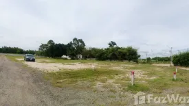 Land for sale in Nong Prue, Chonburi