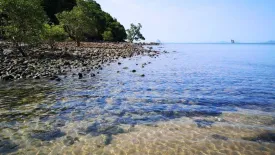 Land for sale in Ko Yao Yai, Phang Nga
