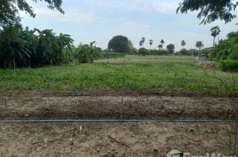 Land for sale in Thung Noi, Nakhon Pathom