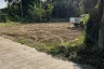 Land for sale in Thap Tai, Prachuap Khiri Khan