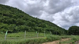 Land for sale in Pak Nam Pran, Prachuap Khiri Khan