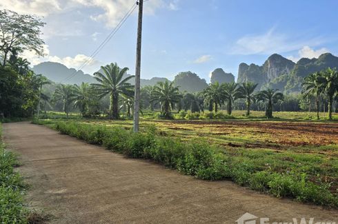 Land for sale in Nong Thale, Krabi