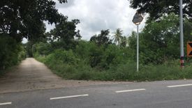 Land for sale in Bang Man, Sing Buri