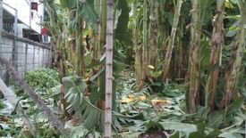 Land for sale in Chom Phon, Bangkok near MRT Lat Phrao