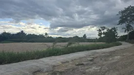 Land for sale in Han Kaeo, Chiang Mai