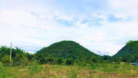 Land for sale in Wang Dong, Kanchanaburi