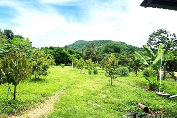 Land for sale in Bung Namtao, Phetchabun