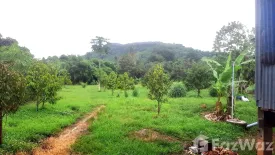 Land for sale in Bung Namtao, Phetchabun