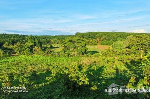 Land for sale in Mae Khao Tom, Chiang Rai